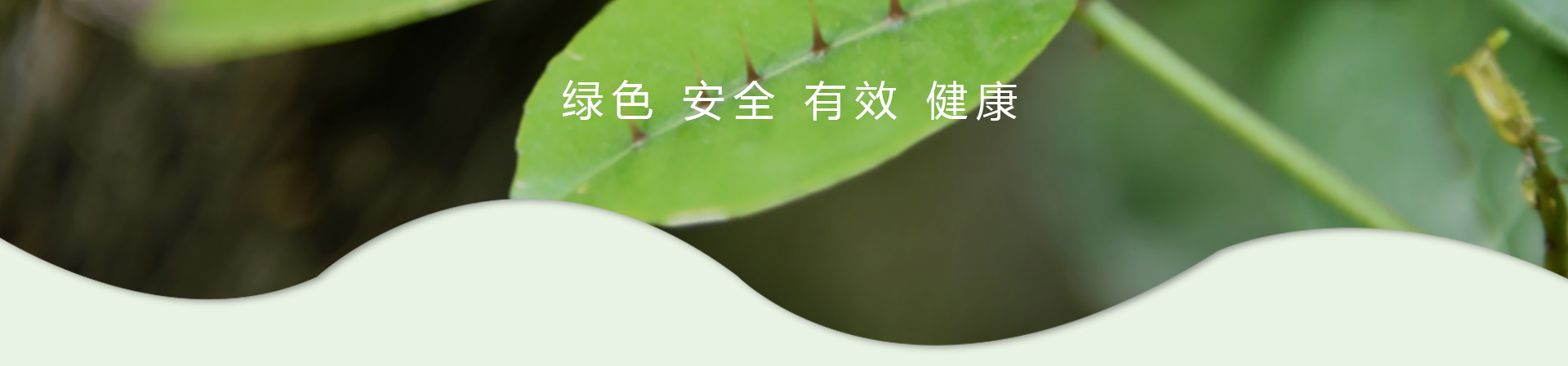 菲银在线|Home